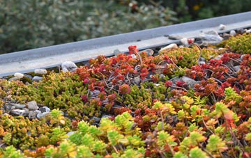 the cost of Barabhas Iarach green roof installation